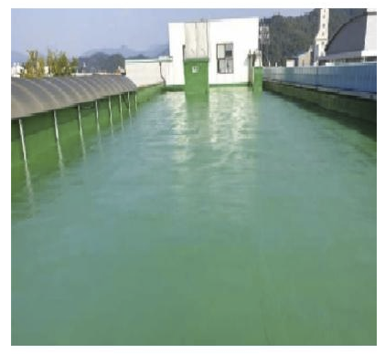 t2mm, 주차장/옥상